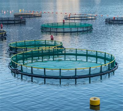Deep-sea Aquaculture Net