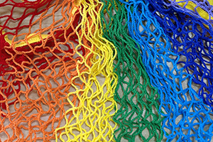 fruit and vegetable bag