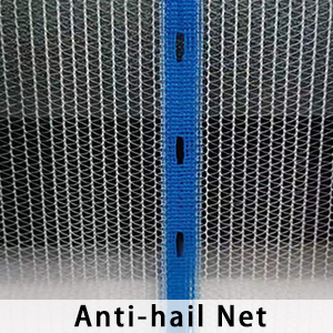 anti-hail net