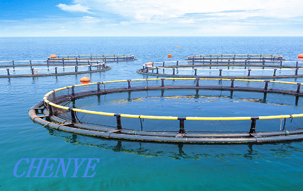 The Fishing Net Machine: Revolutionizing the Fishing Industry