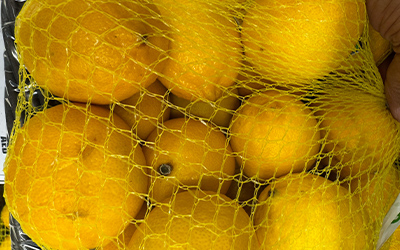 fruit mesh bag 3