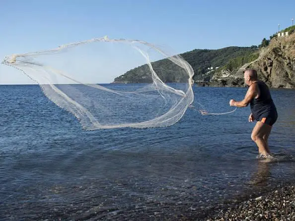 fish net5