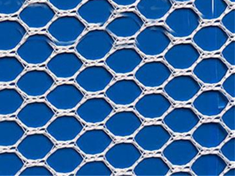fish net10