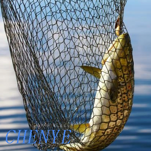 Knotless Fishing Net