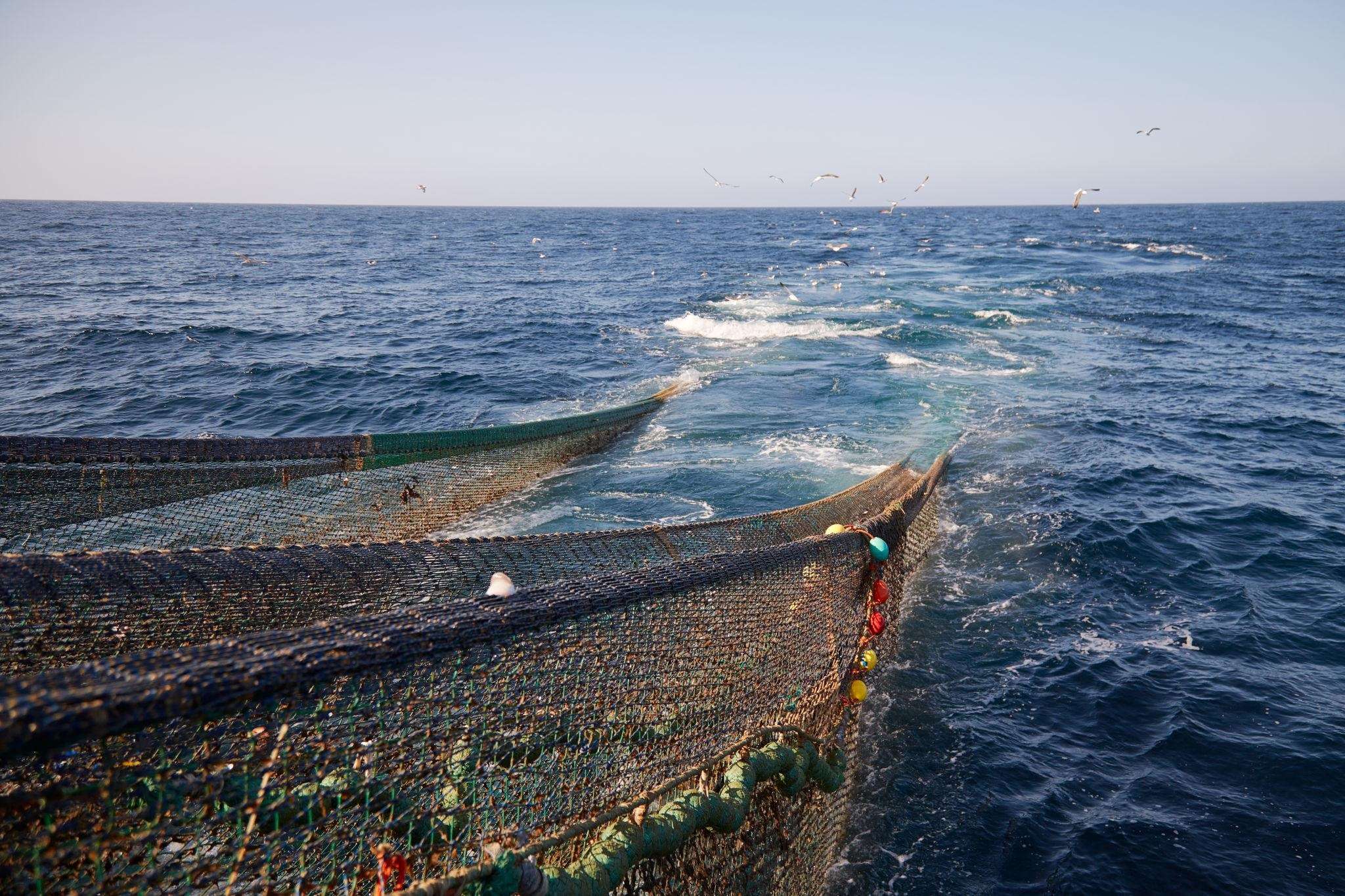 commercial fishing net..(1).jpg