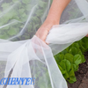 Anti Insect Net 
