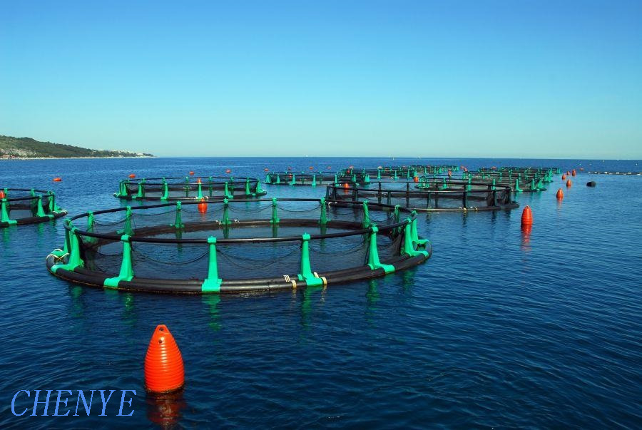 fish cage net-.jpg